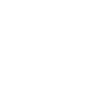 large heart icon